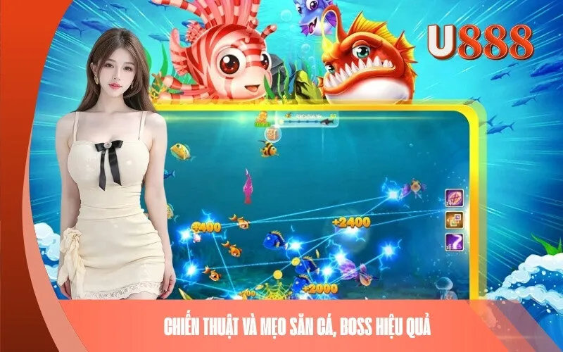 Chiến thuật và mẹo săn cá, boss hiệu quả